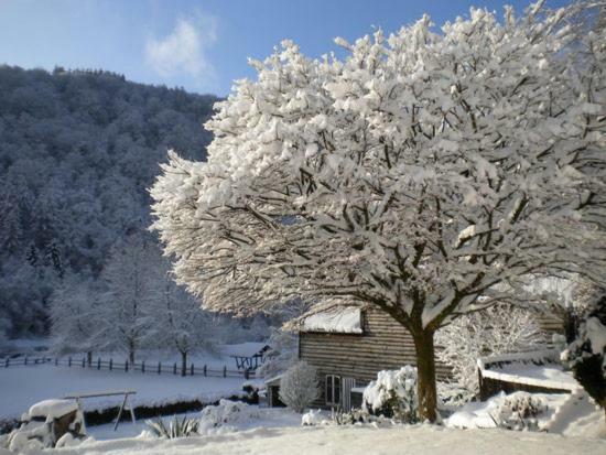 Vila Les Demoiselles De La Semois Poupehan Exteriér fotografie
